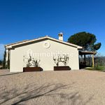 Rent 4 bedroom house of 100 m² in Castiglion Fiorentino
