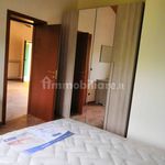 Rent 3 bedroom apartment of 72 m² in Piedimonte San Germano