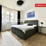 Rent 1 bedroom apartment of 66 m² in Zlín