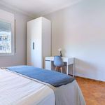 Alquilar 5 dormitorio apartamento en Palma