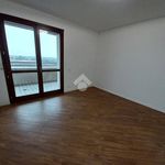Rent 4 bedroom house of 170 m² in Bergamo