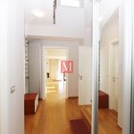 Rent 6 bedroom apartment of 220 m² in Vrhovec