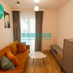 Rent 2 bedroom apartment of 41 m² in Chełm
