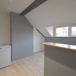 Rent 1 bedroom apartment of 45 m² in Schaerbeek