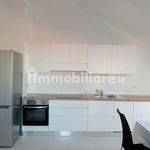 Affitto 1 camera appartamento di 35 m² in Cuneo
