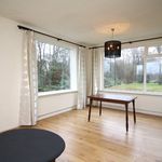 Rent 4 bedroom house in De Wilp