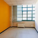 Rent 5 bedroom apartment of 690 m² in Beinasco