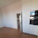 Rent 3 bedroom apartment of 435 m² in Porto