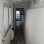 Affitto 1 camera appartamento in Parma