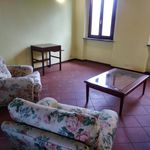 Rent 2 bedroom apartment of 110 m² in Lucca