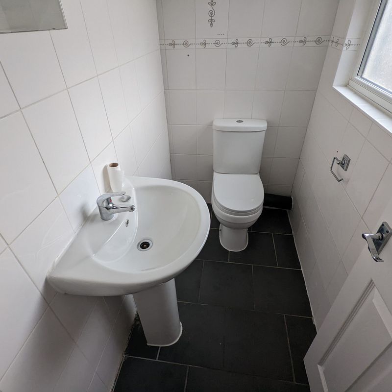 Spacious Superior 6 Double Bed 2 Bath House, Ideal for Students Whiteknights