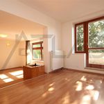 Rent 7 bedroom house of 350 m² in Praha