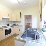 Rent 4 bedroom house in Newcastle-under-Lyme