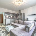 Rent 2 bedroom apartment of 42 m² in Děčín
