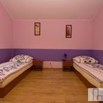 Rent 1 bedroom house of 240 m² in Kraków