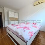 Rent 2 bedroom apartment of 60 m² in Novi Zagreb-istok