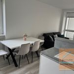 Rent 4 bedroom apartment of 87 m² in Staré Město