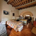 Affitto 1 camera appartamento di 60 m² in Pisa