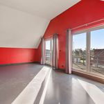 Appartement de 61 m² avec 1 chambre(s) en location à Sint-Niklaas