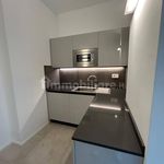 Rent 4 bedroom apartment of 180 m² in Piossasco