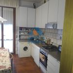 Rent 1 bedroom house of 17 m² in Florence