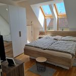 Rent 3 bedroom apartment of 76 m² in Wilfersdorf