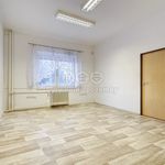 Rent 1 bedroom apartment of 140 m² in Božkov