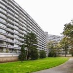 Rent 5 bedroom apartment of 102 m² in Schiedam