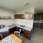 Rent 1 bedroom apartment of 44 m² in Tychy