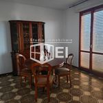 Rent 2 bedroom apartment of 90 m² in Livorno