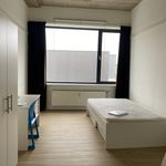 Kamer van 39 m² in Venlo