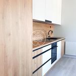 Rent 3 bedroom apartment of 66 m² in Toruń