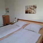 Rent 2 bedroom apartment of 80 m² in Solingen