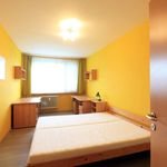 Rent 3 bedroom apartment of 63 m² in Prague