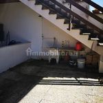 Affitto 3 camera casa di 50 m² in Montalto di Castro