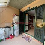 Rent 3 bedroom apartment of 40 m² in Campofelice di Roccella