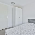 Huur 3 slaapkamer appartement van 55 m² in Amsterdam