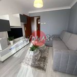 Rent 1 bedroom apartment of 42 m² in Rybnik