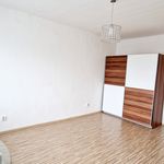 Rent 2 bedroom apartment of 26 m² in Havířov