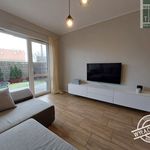 Rent 2 bedroom apartment of 46 m² in Zielona Góra