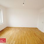 Rent 1 bedroom apartment of 60 m² in Linz
