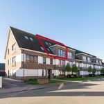 Rent 3 bedroom house of 114 m² in Oostrozebeke