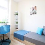 Rent 6 bedroom apartment in Lodz