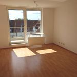 Rent 2 bedroom apartment of 53 m² in Wuppertal