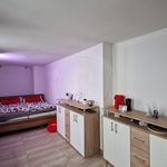 Rent 3 bedroom apartment of 65 m² in České Budějovice