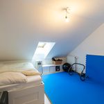 Huur 3 slaapkamer huis van 150 m² in Tienen