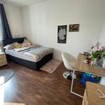 Miete 1 Schlafzimmer wohnung von 16 m² in Wiesbaden