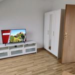 Rent 1 bedroom apartment of 33 m² in Halle