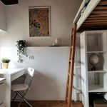 Rent 7 bedroom apartment in Kraków