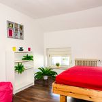 Rent 4 bedroom house of 100 m² in Bonn